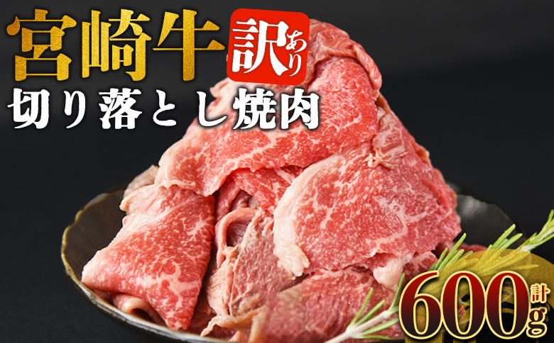 ＜訳あり 宮崎牛 切り落とし焼肉 合計600g＞入金確認後、14営業日以内に順次発送 【 焼肉用 焼き肉 やきにく 訳アリ品 わけあり A5等級 ランク 高級 お肉 和牛 黒毛和牛 ブランド牛 柔らかい お家焼肉 BBQ バーベキュー ご褒美 新鮮 鮮度 】