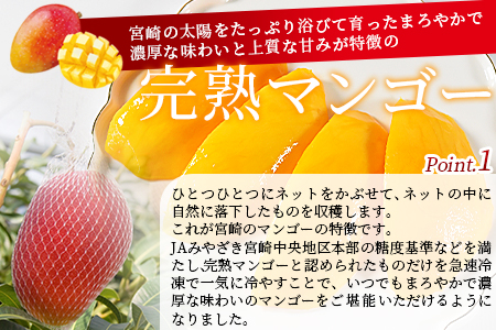 ＜JAみやざき宮崎中央地区本部管内産 宮崎県産 冷凍マンゴー 約270g＞翌月末迄に順次出荷