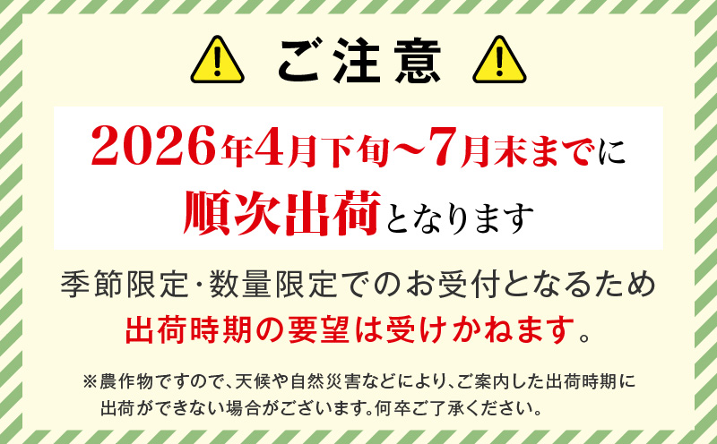 宮崎県産 太陽のタマゴ 2L×1玉