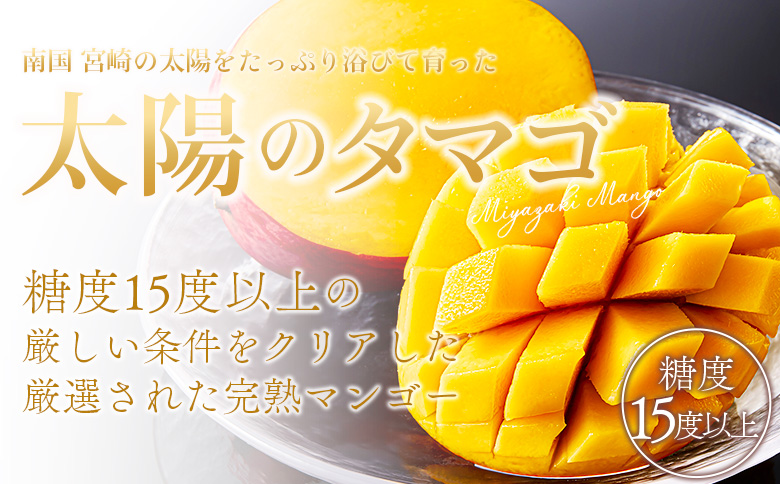 【先行予約 2026年発送】＜宮崎県産完熟マンゴー 太陽のタマゴ 3L 合計2玉＞入金確認後、2026年5月初旬〜7月末迄に順次出荷【 選べる 個数 内容量 大きさ サイズ 国産 かんじゅく とろける 果物 果実 フルーツ 南国 芳醇 甘い 旬（株）ワールドワイドトレード 宮崎県 国富町】