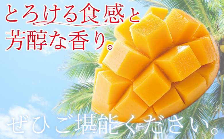 æ°ééå®ã2026幎çºéãïŒå®®åŽçç£ å€ªéœã®ã¿ã㎠AççŽ A5Lãµã€ãºÃ1çïŒçŽ650g以äžïŒïŒ2026幎4æäžæ¬ã6ææ«è¿ã«é 次åºè·ã 倪éœã®ã¿ã㎠å®çãã³ãŽãŒ å®ç ãã³ãŽãŒ ãã«ãŒã ãããã«ã«ãã«ãŒã æç© ãã ãã® ãããã çŸå³ãã çã ããŸã ã