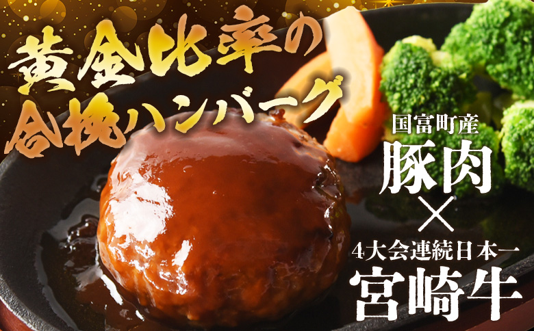 ＜絶品合挽ハンバーグ 6個＞入金確認後、翌月末迄に順次出荷 ソース付き【国富産 豚肉 宮崎牛 ブランド牛 合いびき 合い挽き 160g ぶたにく 牛肉 おかず 一品 焼くだけ 簡単調理 お弁当 お取り寄せ おとりよせ グルメ 贈り物 ご家庭用】