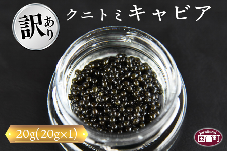 【訳あり】＜クニトミキャビア 20g(20g×1)＞翌月末迄に順次出荷