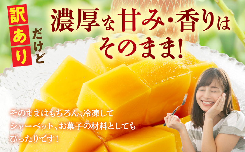 訳あり 宮崎県産 完熟マンゴー 合計約1.5kg（3〜5玉）