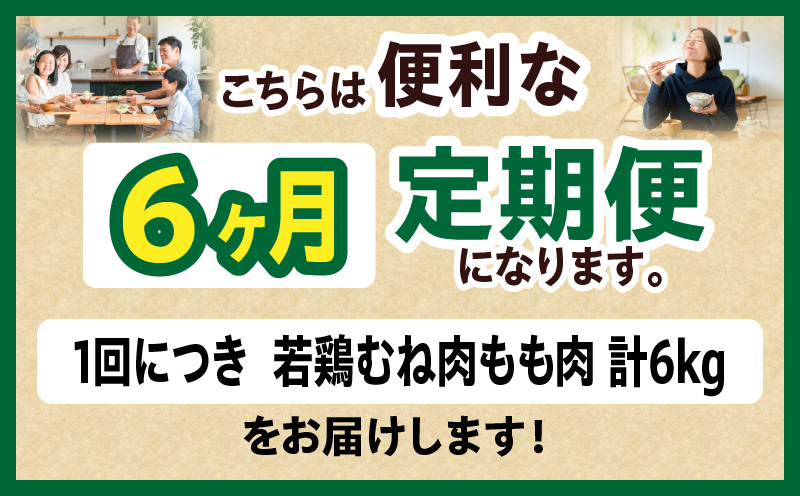 宮崎県産 若鶏切身 むね肉&もも肉 6kg（各300g×10袋）【6か月定期便】
