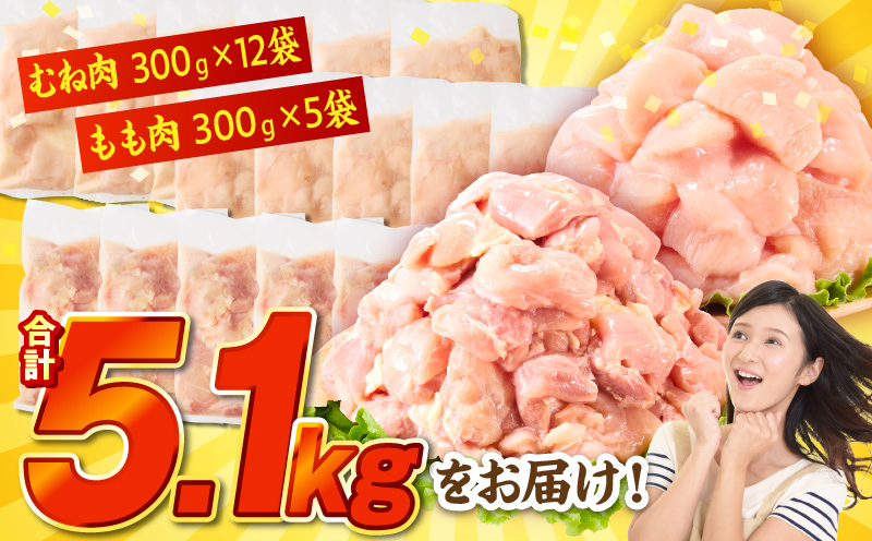 螳ョ蟠守恁逕」闍・鮓丞霄ォ5.1kg 鮓剰i