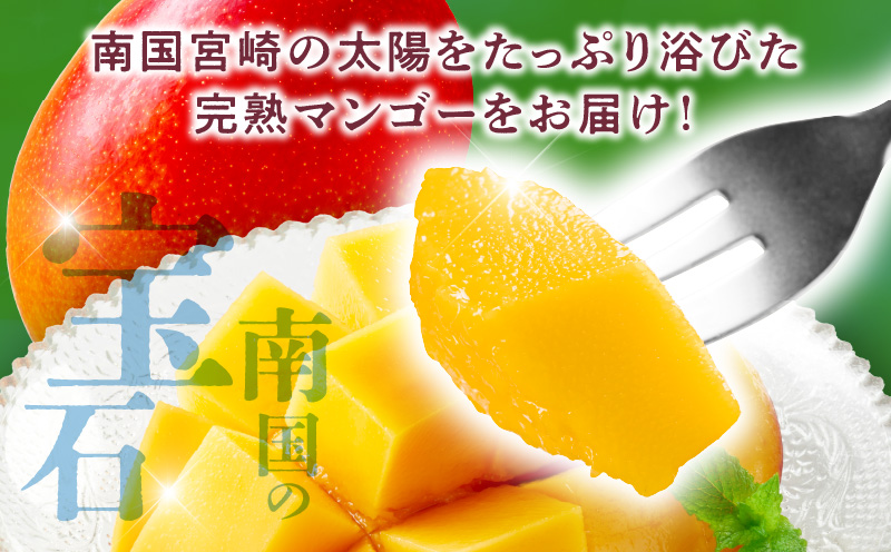 宮崎県産 完熟マンゴー 2玉 2L