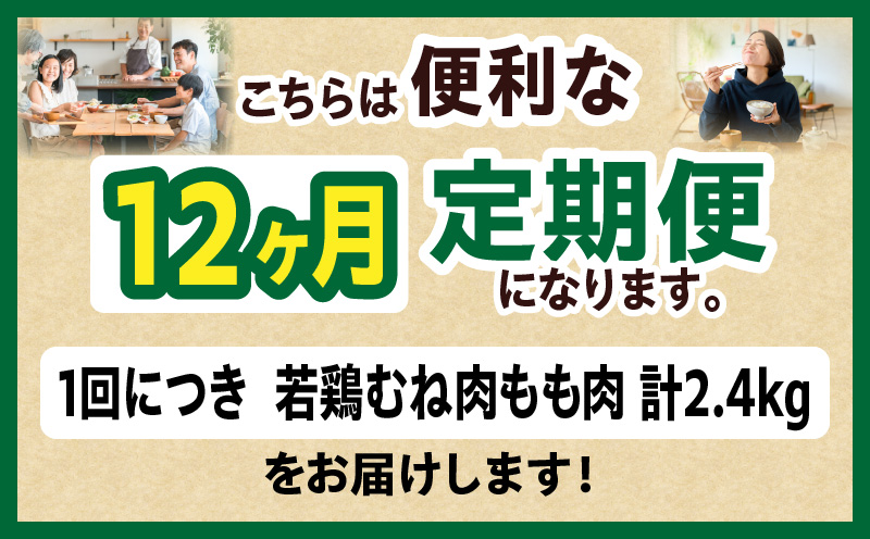 宮崎県産 若鶏切身 むね肉&もも肉 2.4kg（各300g×4袋）【12か月定期便】