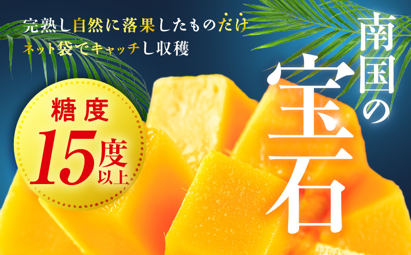 宮崎県産 太陽のタマゴ 2L×1玉