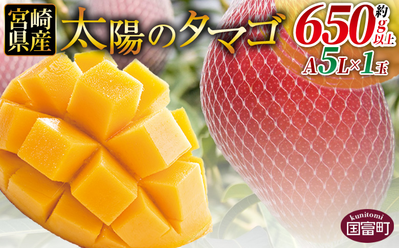 数量限定【2026年発送】＜宮崎県産 太陽のタマゴ A等級 A5Lサイズ×1玉（約650g以上）＞2026年4月上旬〜6月末迄に順次出荷【 太陽のタマゴ 完熟マンゴー 完熟 マンゴー フルーツ トロピカルフルーツ 果物 くだもの おいしい 美味しい 甘い あまい 】