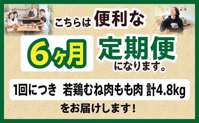 宮崎県産 若鶏切身 むね肉&もも肉 4.8kg（各300g×8袋）【6か月定期便】