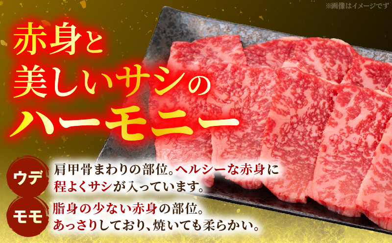 宮崎牛赤身（ウデ・モモ）焼肉 500g