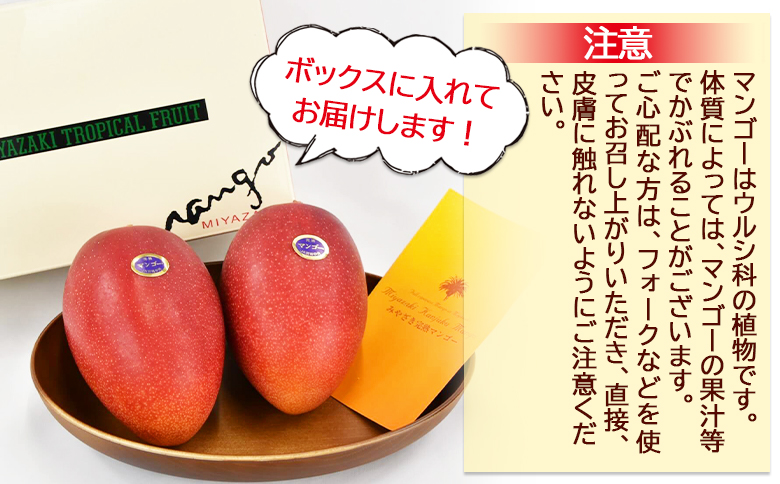 æ°ééå®ã2026幎çºéãïŒå®®åŽçç£ å®çãã³ãŽãŒ BççŽ B4Lãµã€ãºÃ2çïŒåèšçŽ1kgïŒïŒ2026幎4æäžæ¬ã6ææ«è¿ã«é 次åºè·ã å®çãã³ãŽãŒ å®ç ãã³ãŽãŒ ãã«ãŒã æç© ãã ãã® ãããã çŸå³ãã çã ããŸã ãå®¶åºçš å®¶åºçšããè€çŸ ã