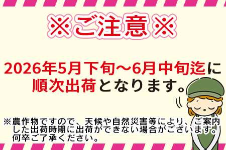 予約受付【2026年発送】＜宮崎県産 スイートコーン 約4.5kg＞2026年5月下旬〜6月中旬迄に順次出荷【 先行予約 穀物 野菜 甘い 季節限定 とうもろこし おやつ ご飯 スープ サラダ BBQ 屋台 】