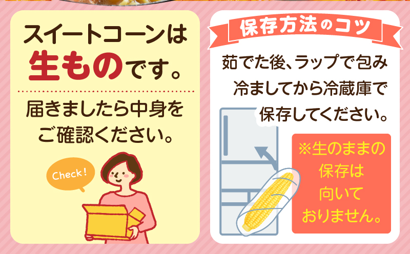 宮崎県産 スイートコーン 約4.5kg