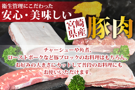＜宮崎県産豚肉ブロック 4種セット（ヒレ・ロース・モモ・バラ）合計3.5kg＞翌月末迄に順次出荷