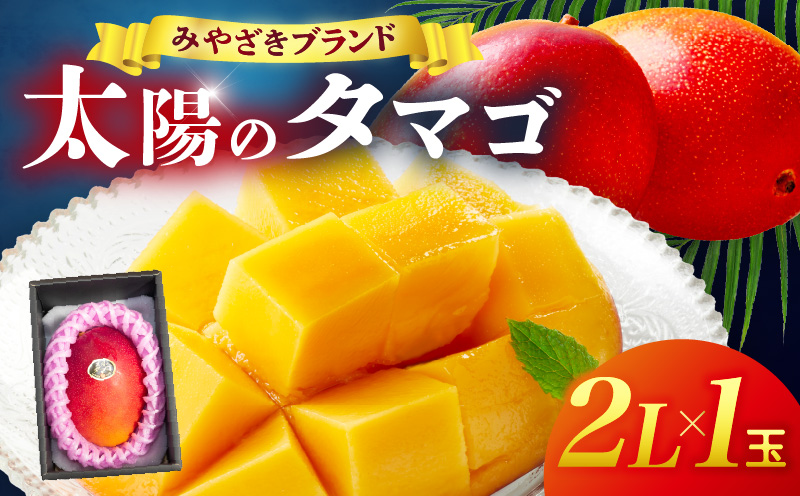 宮崎県産 太陽のタマゴ 2L×1玉