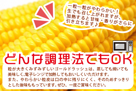 予約受付！＜朝採れ！国富町産ゴールドラッシュ4.5kg2Lサイズ13本＞2026年5月下旬〜7月上旬迄に順次出荷【 とうもろこし スイートコーン 先行予約 野菜 穀物 甘い トウモロコシ 季節物 数量限定 とうきび コーン 】