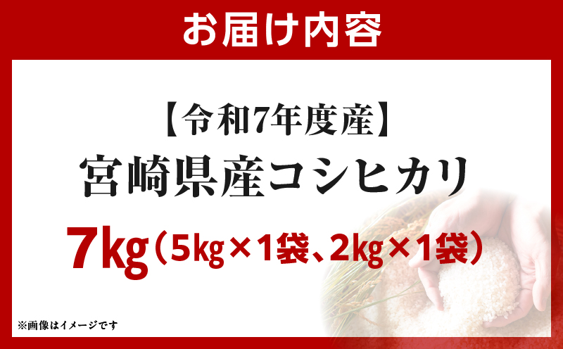 莉、蜥7蟷エ蠎ヲ逕」 螳ョ蟠守恁逕」繧ウ繧キ繝偵き繝ェ 7kgシ5kgテ1陲具シ会シ2kgテ1陲具シ