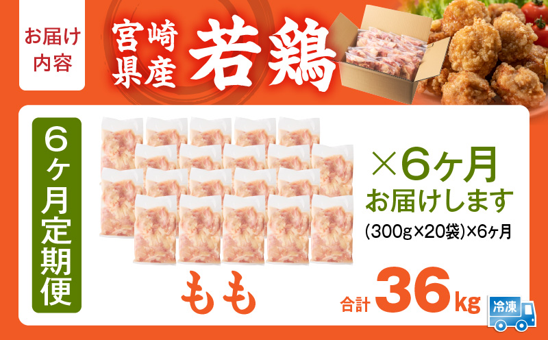 螳ョ蟠守恁逕」 闍・鮓丞霄ォ繧ゅb閧 6kgシ300gテ20陲具シ峨6縺区怦螳壽悄萓ソ縲