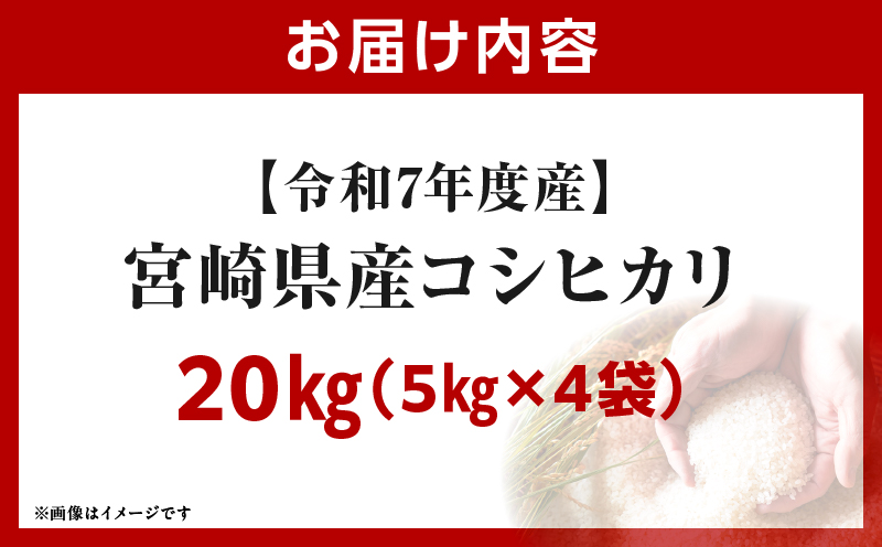 莉、蜥7蟷エ蠎ヲ逕」 螳ョ蟠守恁逕」繧ウ繧キ繝偵き繝ェ 20kgシ5kgテ4陲具シ