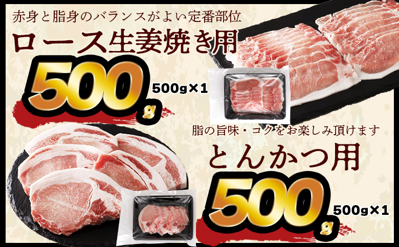 ＜宮崎県国富町産 豚肉バラエティセット 合計4.5kg＞入金確認後、翌月末迄に順次出荷【バラエティーセット お肉 ぶた肉 小分けパック 真空パック ロース とんかつ トンカツ しゃぶしゃぶ用 小間切れ 豚こま ひき肉 挽肉 普段使い 普段の料理 精肉 】