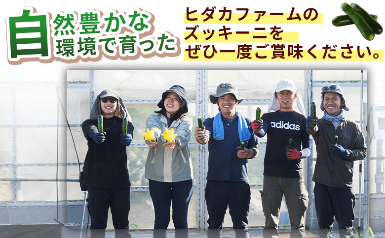 ＜野菜ソムリエサミット銀賞受賞！ あなたにズッキーニ約2kg（10本）＞1か月程度で出荷【 野菜 青果 国産 生食 輪切り ソテー サラダ 天ぷら ラタトゥイユ 】