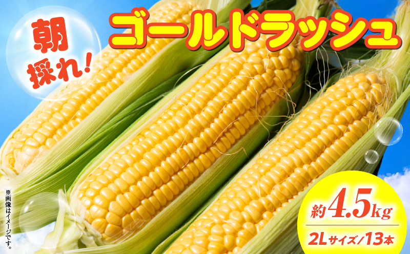 朝採れ！国富町産ゴールドラッシュ4.5kg2Lサイズ13本
