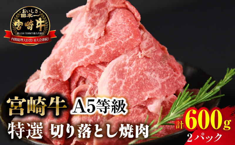 【訳あり】宮崎牛 切り落とし焼肉 合計600g（2パック）