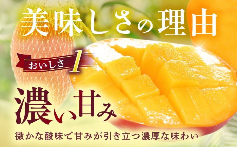 宮崎県産 太陽のタマゴ 2L×1玉