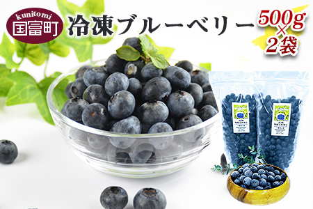 八重尾工房が贈る 農園直送！＜冷凍ブルーベリー(500g×2袋)＞翌月末迄に順次出荷