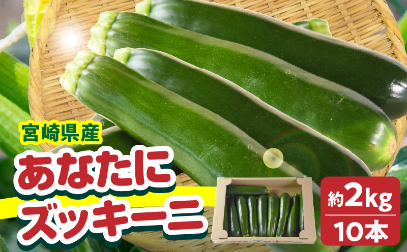 野菜ソムリエサミット銀賞受賞！ あなたにズッキーニ約2kg（10本）