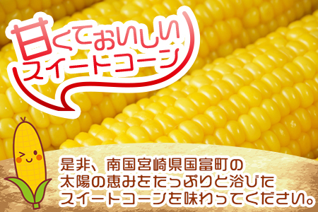 予約受付！＜朝採れ！国富町産ゴールドラッシュ4.5kg2Lサイズ13本＞2026年5月下旬〜7月上旬迄に順次出荷【 とうもろこし スイートコーン 先行予約 野菜 穀物 甘い トウモロコシ 季節物 数量限定 とうきび コーン 】