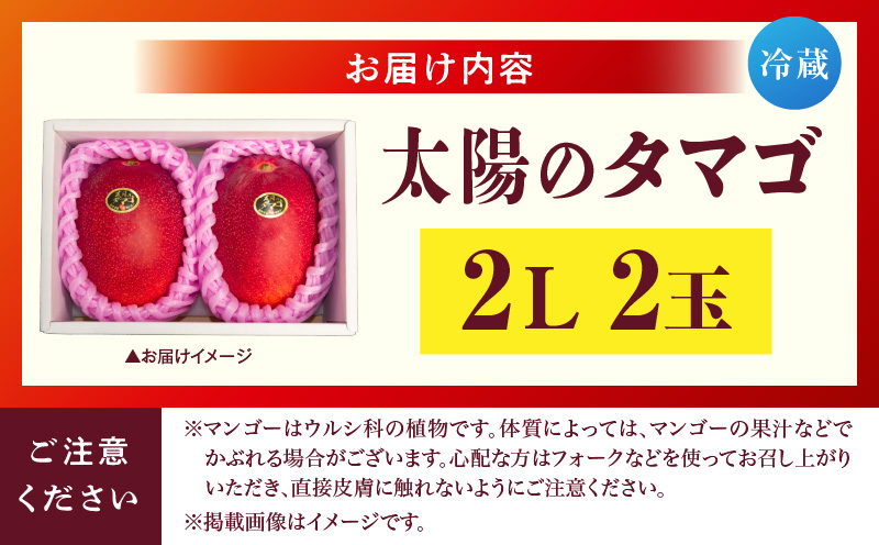 宮崎県産 太陽のタマゴ 2L×2玉