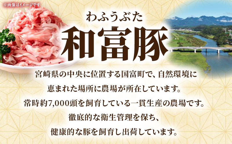 和富豚 普段使いセット 3.2kg