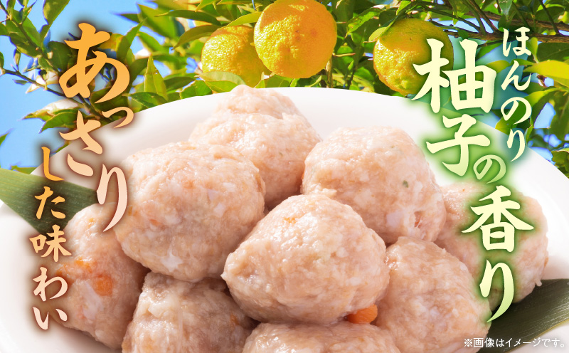 親鶏の脂がおいしい つみれ 合計108玉（12個入り×9袋）