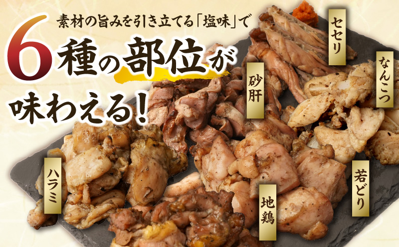 特撰 塩三昧 6パックセット