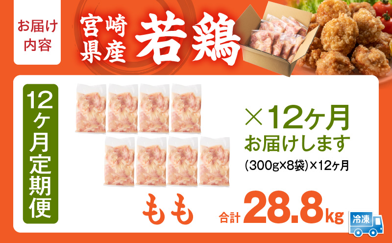 螳ョ蟠守恁逕」 闍・鮓丞霄ォ繧ゅb閧 2.4kgシ300gテ8陲具シ峨12縺区怦螳壽悄萓ソ縲