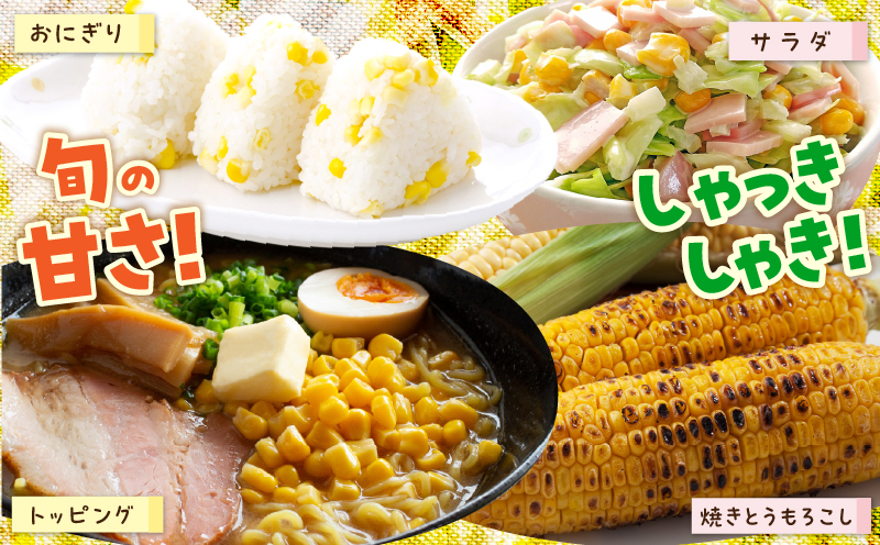 宮崎県産 スイートコーン 約4.5kg