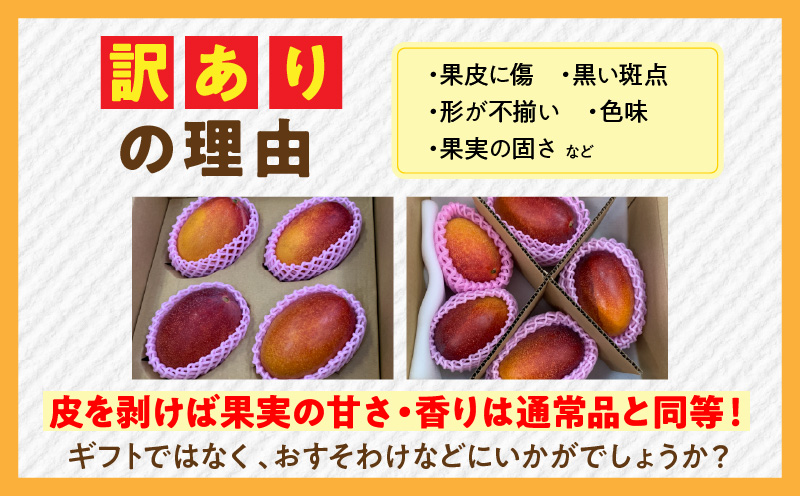 訳あり 宮崎県産 完熟マンゴー 合計約1.5kg（3〜5玉）