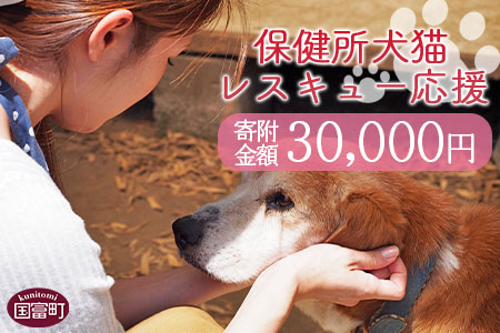 ＜保健所犬猫レスキュー【返礼品なしのご寄附】＞寄付金額30,000円※お礼状をお送りいたします。【 動物愛護 保護 犬 猫 いぬ ねこ イヌ ネコ 動物 どうぶつ ペット 応援 支援 寄付 使い道 いのちのはうす保護家 】