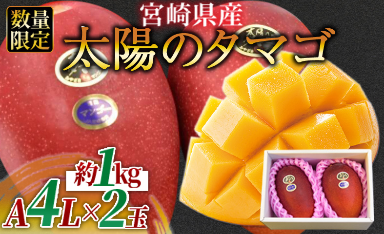 数量限定【2026年発送】＜宮崎県産 太陽のタマゴ A等級 4Lサイズ×2玉（合計約1kg）＞2026年4月上旬〜6月末迄に順次出荷【 果物 青果 フルーツ 太陽のタマゴ 太陽のたまご 完熟マンゴー マンゴ― 期間限定 先行予約 ギフト 贈答用 送料無料 】