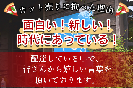 ＜フローズンピッツァ！地鶏の炭火焼（6ピース）＞2か月以内に順次出荷【 ピザ ピッツァ パーティー カフェノワンダーランド イタリア 小分け 一人暮らし おやつ 小腹 冷凍 お祝い 鶏 肉 鶏肉 パン チーズ バレンタイン 間食 誕生日 】