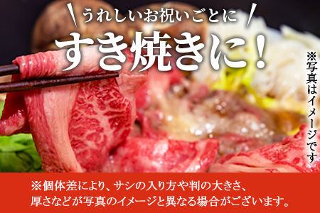 ＜宮崎牛肩ローススライス500g＆訳あり赤身サイコロステーキ500g 合計1kg＞翌々月末迄に順次出荷【 牛 肉 牛肉 国産 肩ロース ロース スライス ステーキ 赤身 宮崎牛 すきやき バーベキュー  焼き肉 セット 送料無料 】