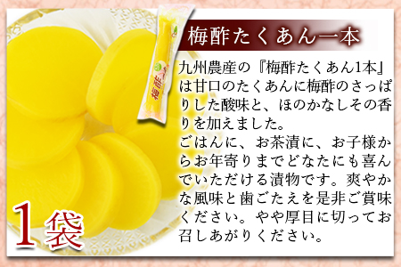 ＜漬物詰め合わせ 7種セット＞翌月末迄に順次出荷