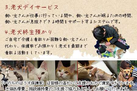 ＜保健所犬猫レスキュー【返礼品なしのご寄附】＞寄付金額5,000円※お礼状をお送りいたします。【 動物愛護 保護 犬 猫 いぬ ねこ イヌ ネコ 動物 どうぶつ ペット 応援 支援 寄付 使い道 寄附のみ いのちのはうす保護家 】
