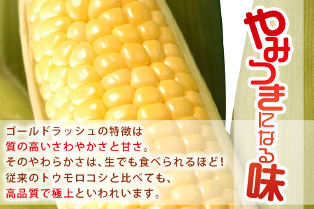 予約受付！＜朝採れ！国富町産ゴールドラッシュ4.5kg2Lサイズ13本＞2026年5月下旬〜7月上旬迄に順次出荷【 とうもろこし スイートコーン 先行予約 野菜 穀物 甘い トウモロコシ 季節物 数量限定 とうきび コーン 】