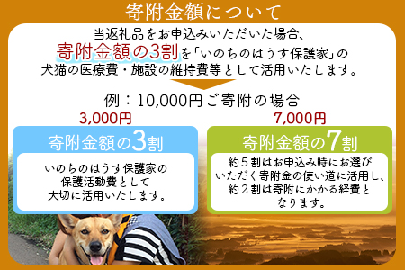 ＜保健所犬猫レスキュー【返礼品なしのご寄附】＞寄付金額5,000円※お礼状をお送りいたします。【 動物愛護 保護 犬 猫 いぬ ねこ イヌ ネコ 動物 どうぶつ ペット 応援 支援 寄付 使い道 寄附のみ いのちのはうす保護家 】