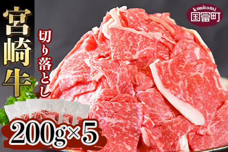 ＜宮崎牛 切り落とし 合計1kg（200g×5）＞翌月末迄に順次出荷