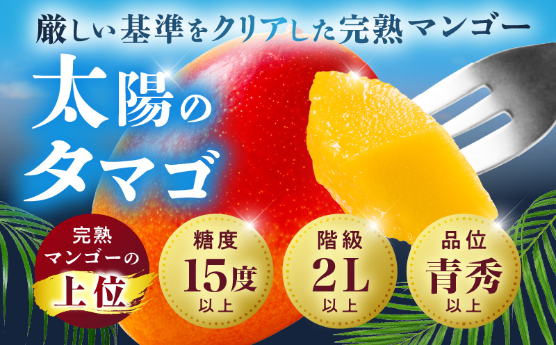 宮崎県産 太陽のタマゴ 2L×1玉